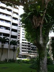 Sommerville Park (D10), Condominium #143339952